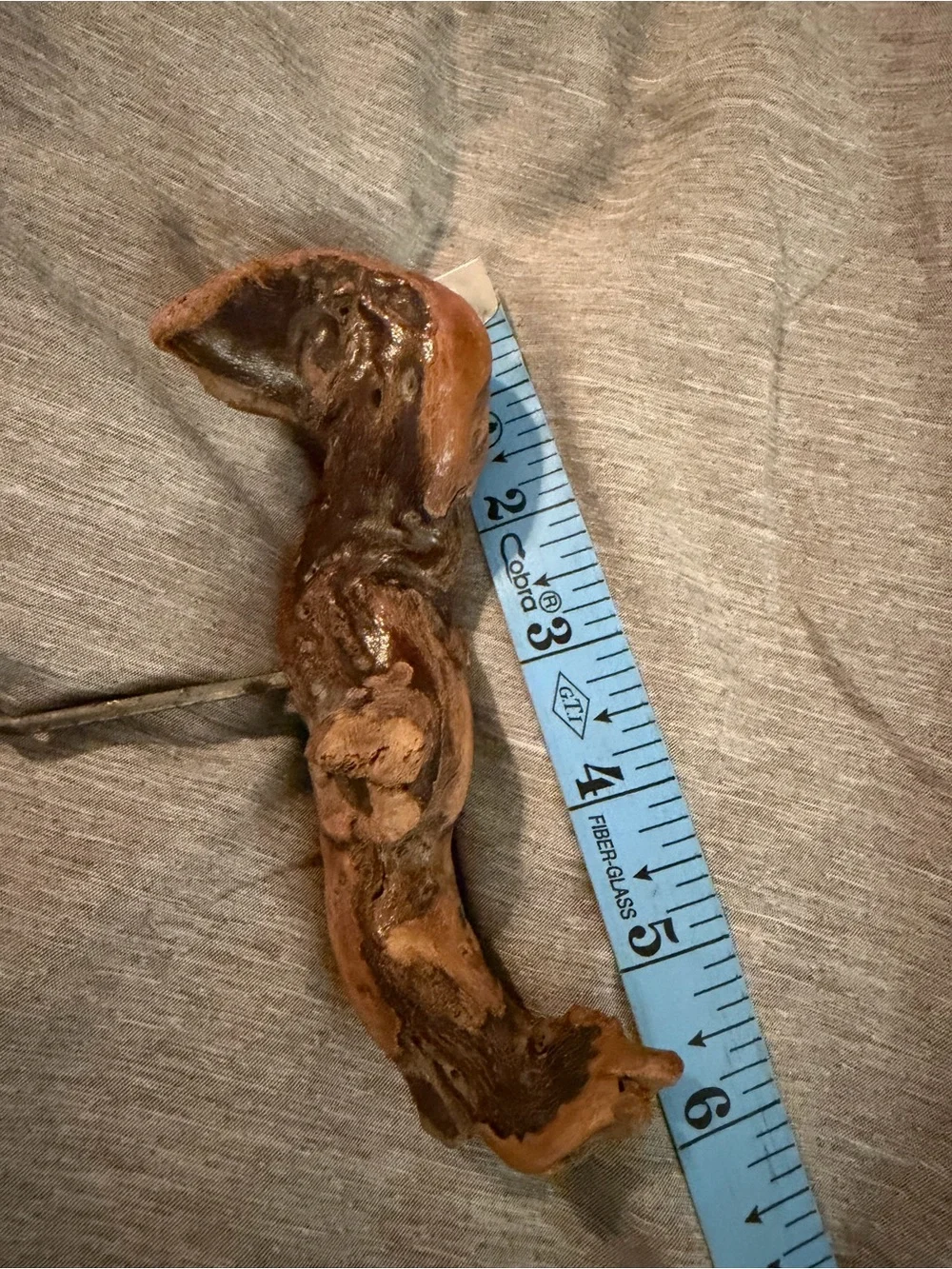 BIRD SHAPED Vintage Old Vine Grapevine Burl Wood Wine Bottle Opener Cork Screw